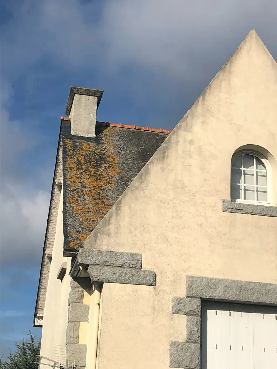 Toiture d’ardoise couverte de mousses et de lichens